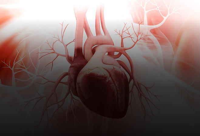 Endoscopic and direct vision approaches in minimally-invasive mitral and tricuspid valve surgery – insights from the mini-mitral registry